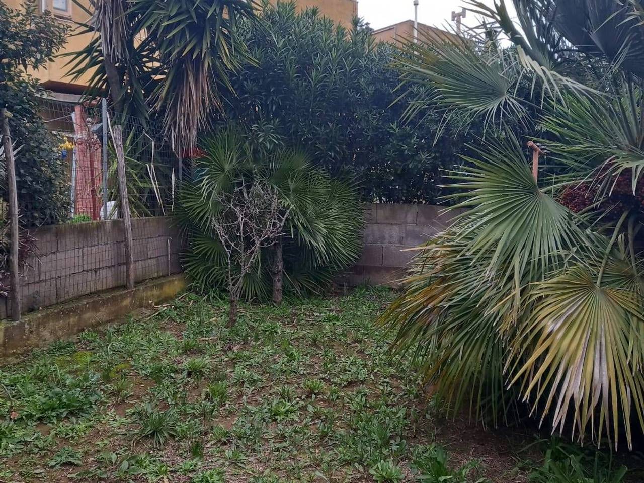 immagine annuncio 2 di 6