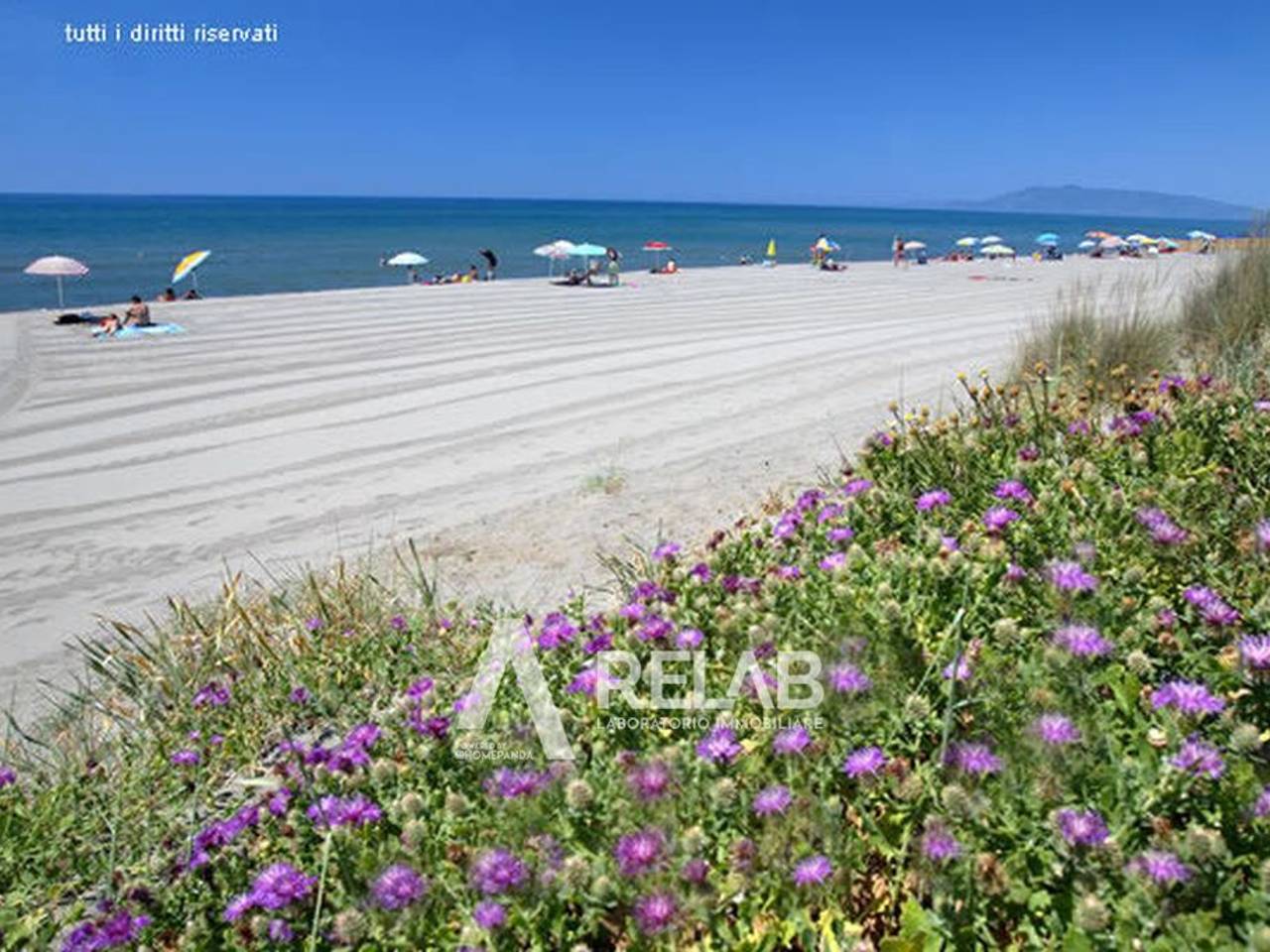 immagine annuncio 2 di 14