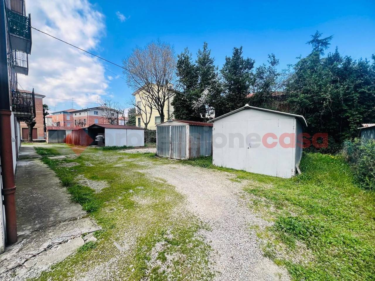 immagine annuncio 3 di 12