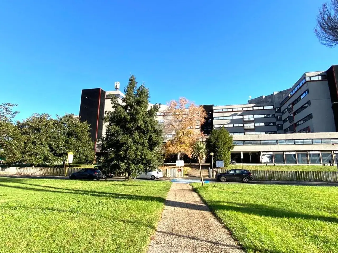 Ufficio in Viale Castello della Magliana 38, Roma, {3} - Foto 1
