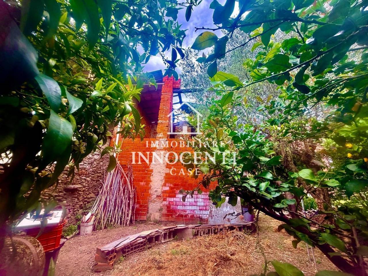 immagine annuncio 1 di 11