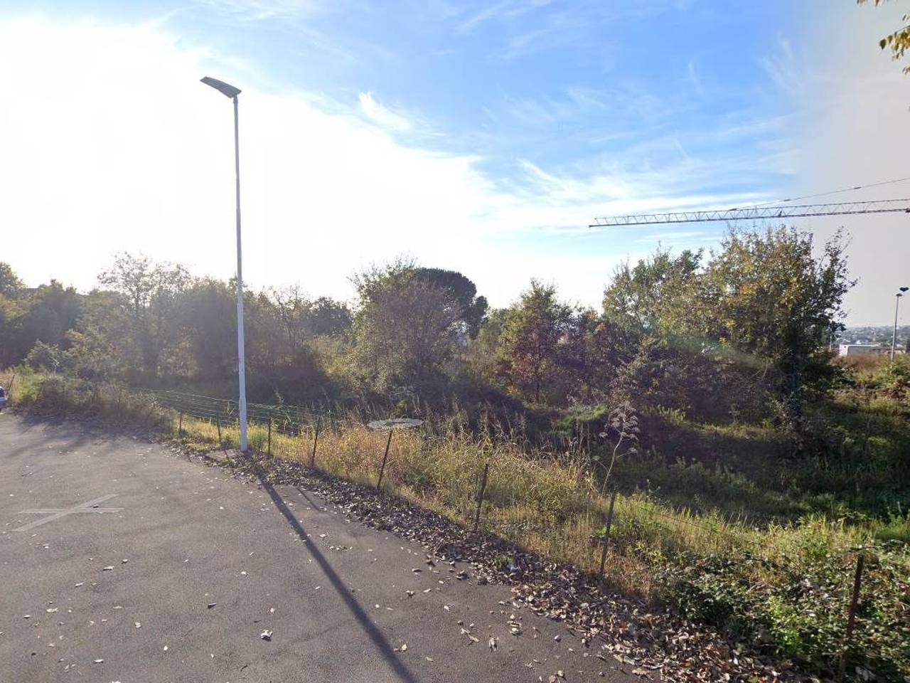 immagine annuncio 10 di 14