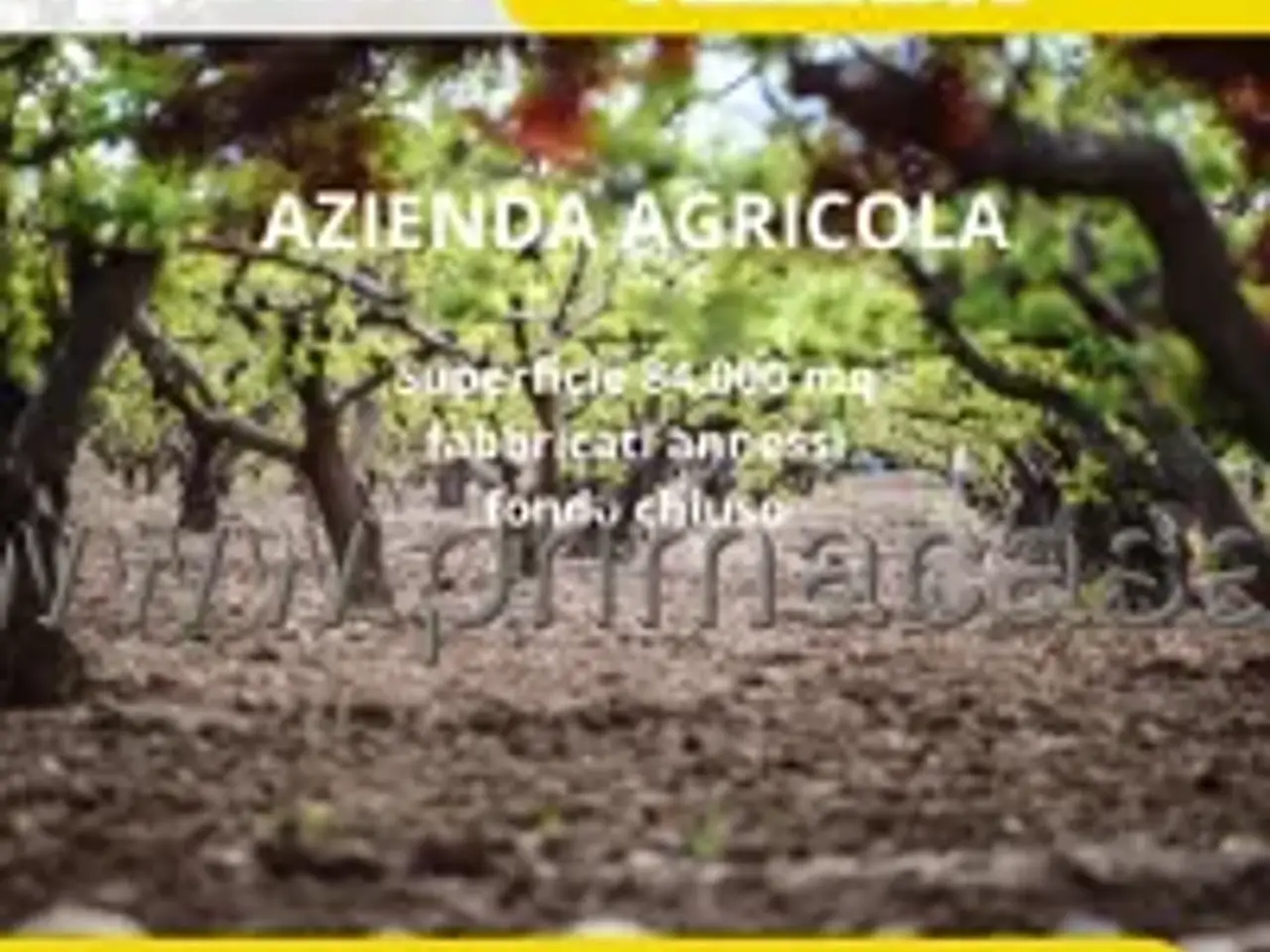 Azienda agricola in Via Cesare Battisti, Sant'Ambrogio Di Valpolicella, {3} - Foto 1
