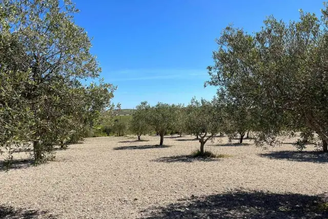 Terreno agricolo in Sp26, Noto - Foto 1