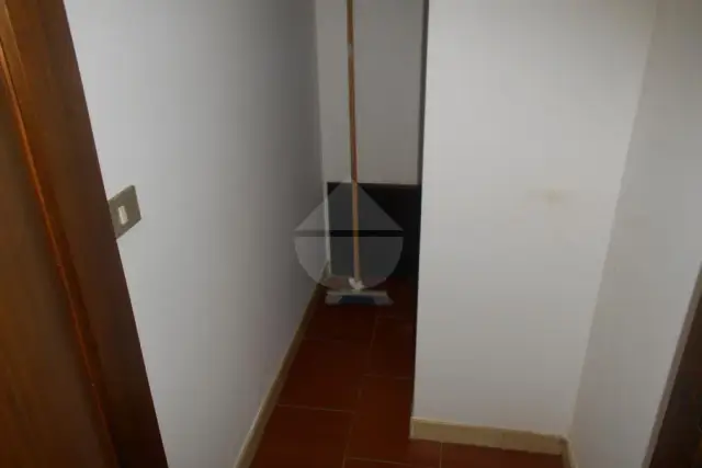 insertion image
