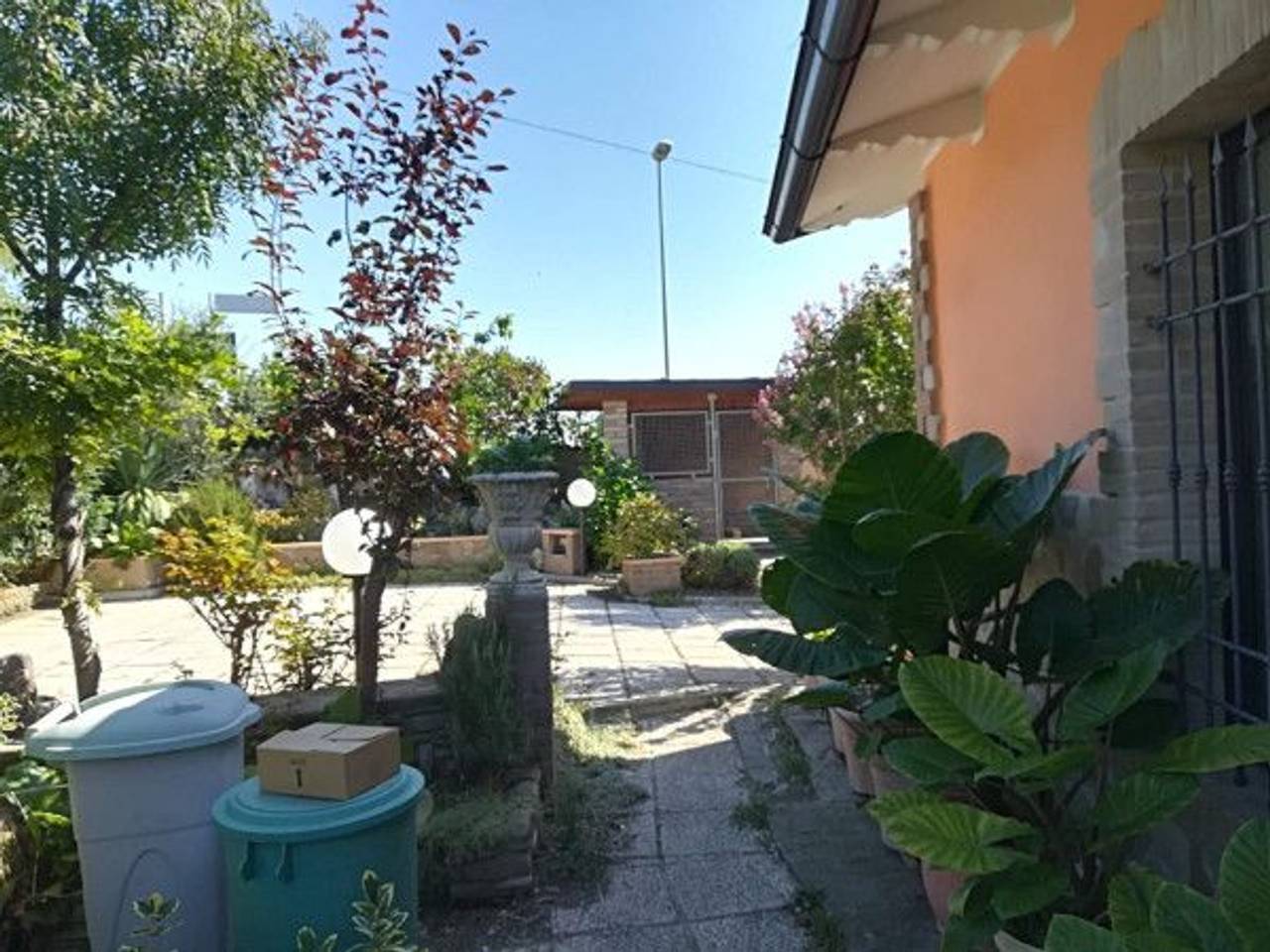 immagine annuncio 5 di 15