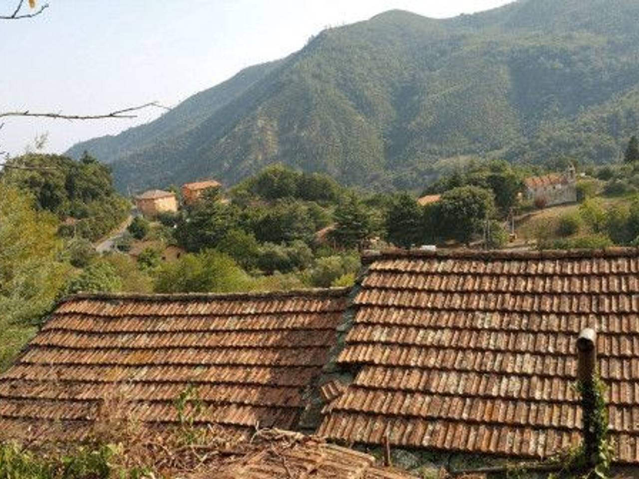 immagine annuncio 3 di 14