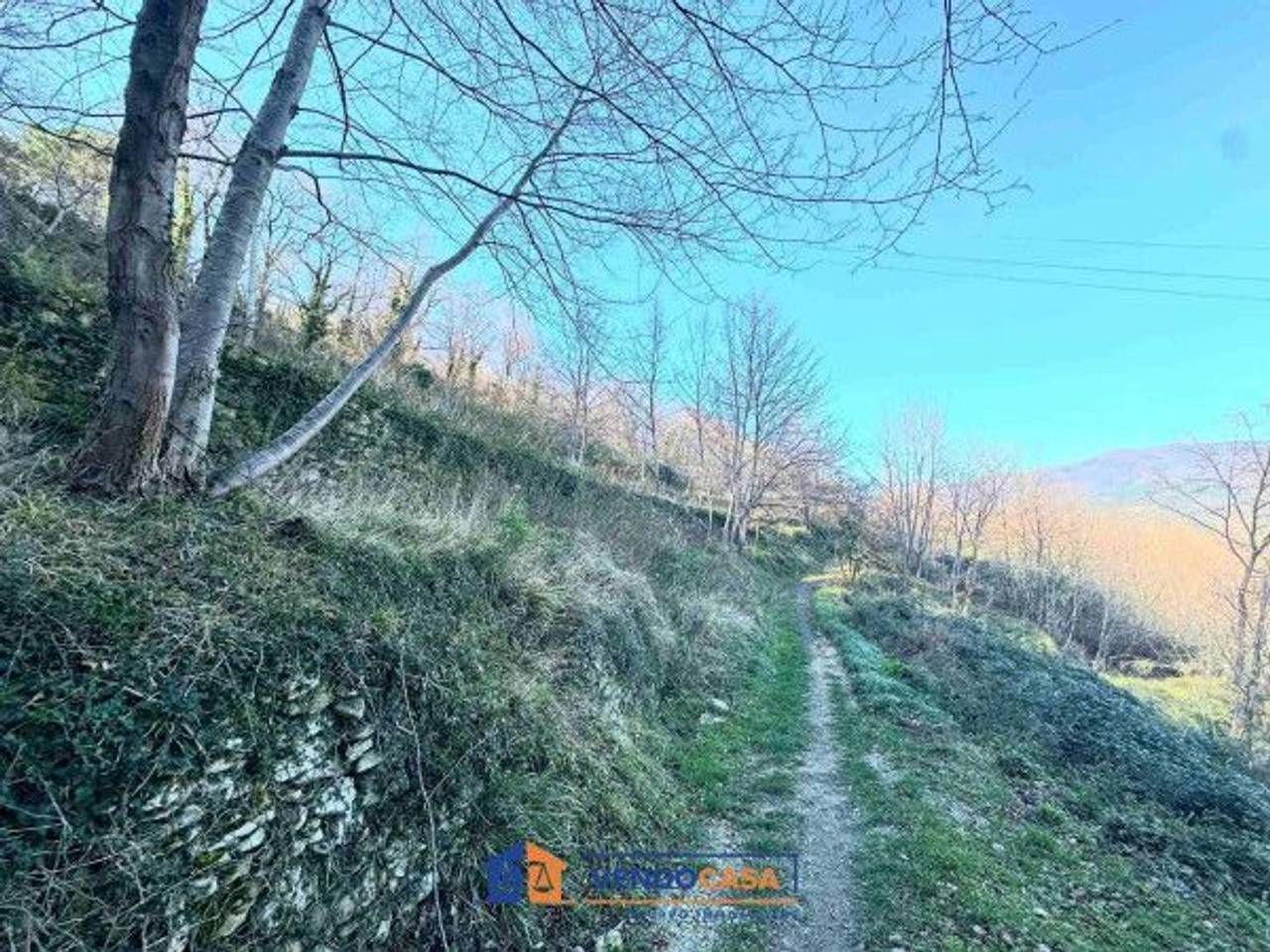 immagine annuncio 6 di 7