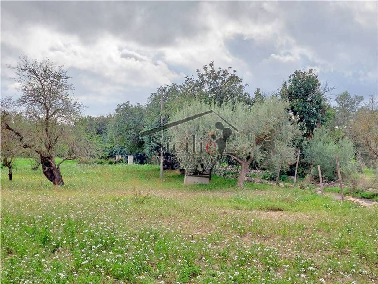 immagine annuncio 3 di 8