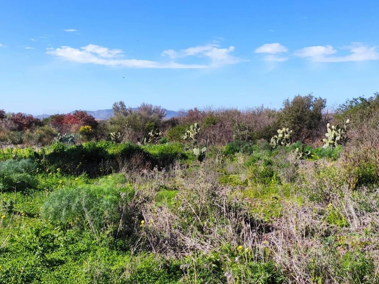 immagine annuncio 8 di 12