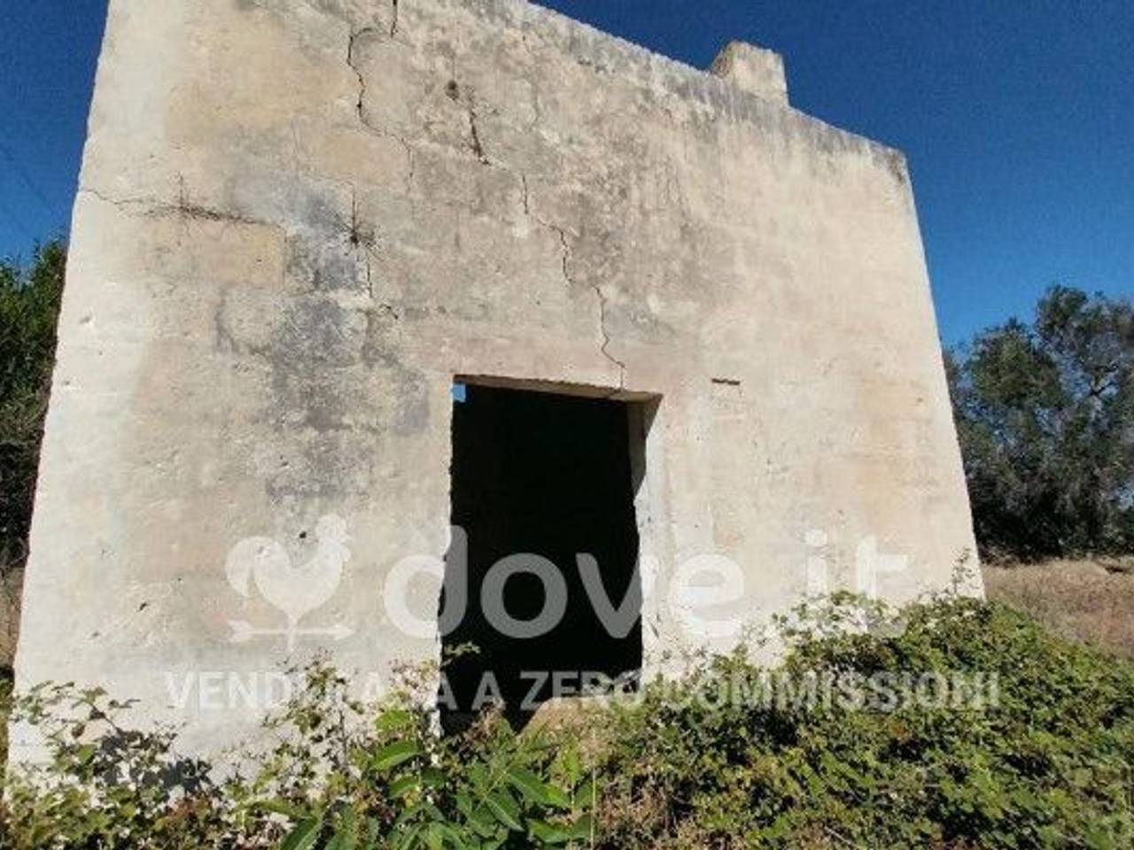 immagine annuncio 7 di 11