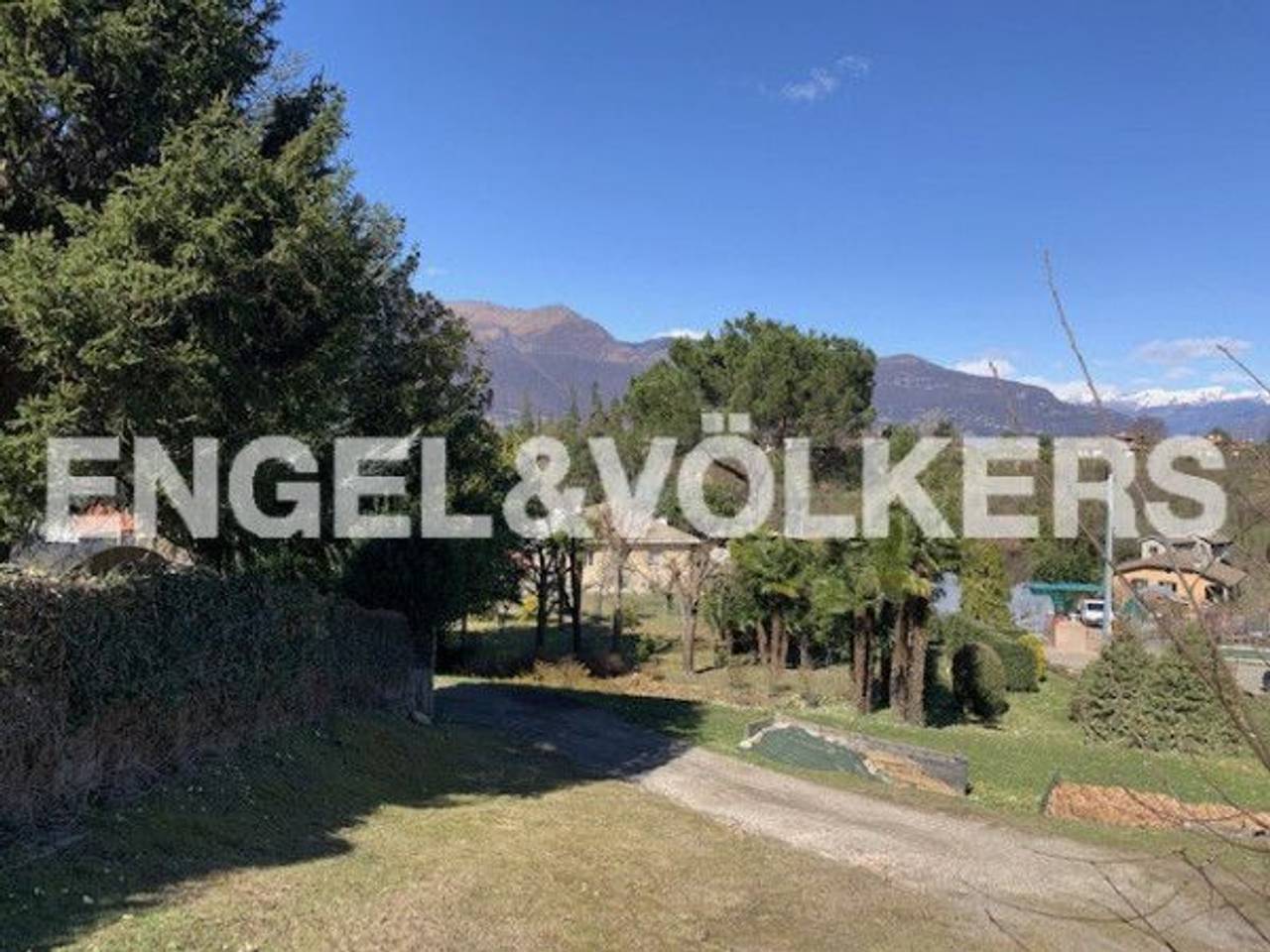 immagine annuncio 10 di 12