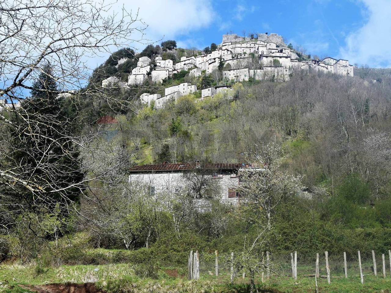 immagine annuncio 2 di 13