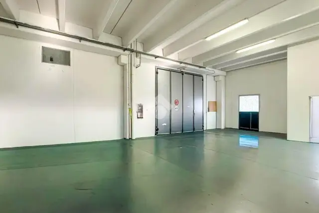 insertion image