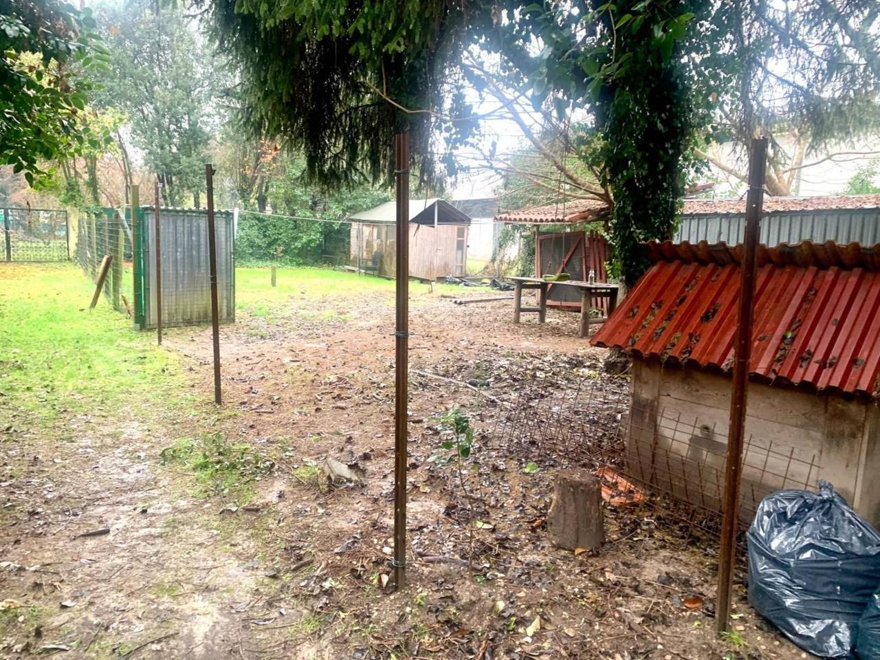 immagine annuncio 11 di 12