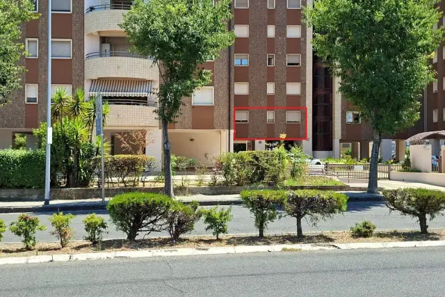 insertion image