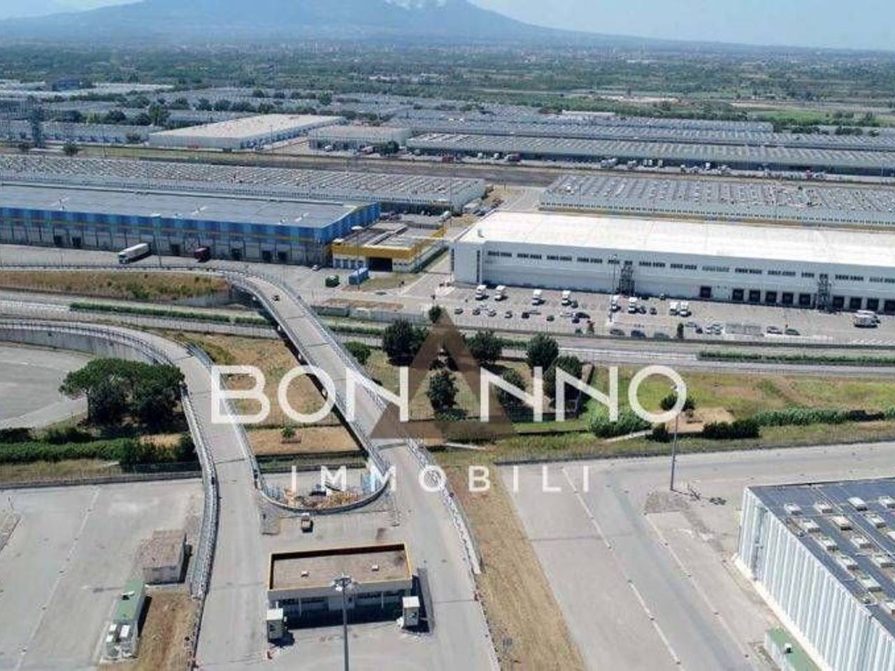 immagine annuncio 3 di 7