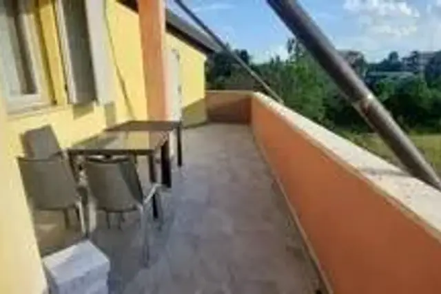 insertion image