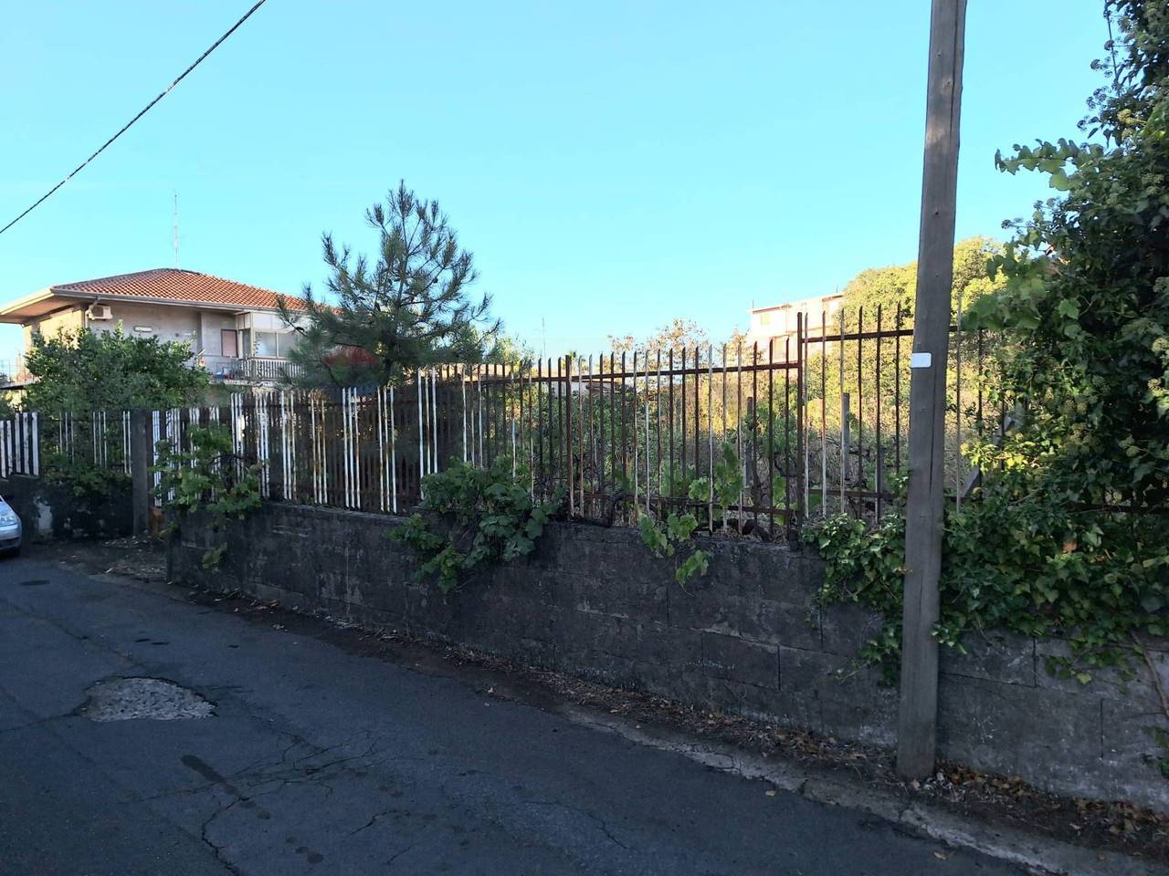 immagine annuncio 5 di 6