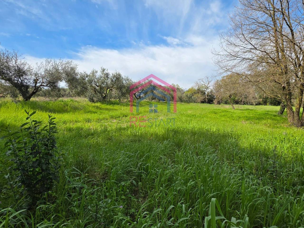 immagine annuncio 4 di 8