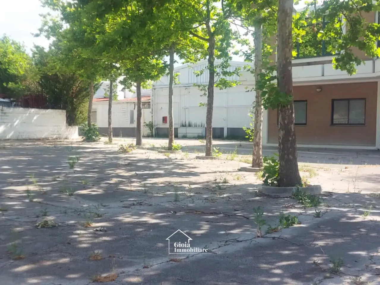 Capannone in Frazione Santa Lucia, Sant'Eusanio Del Sangro, {3} - Foto 2
