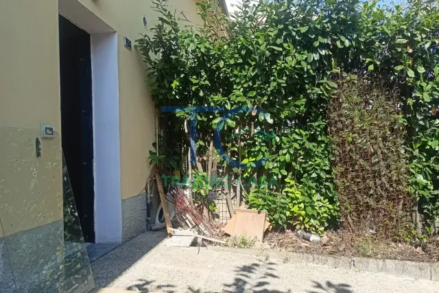 insertion image