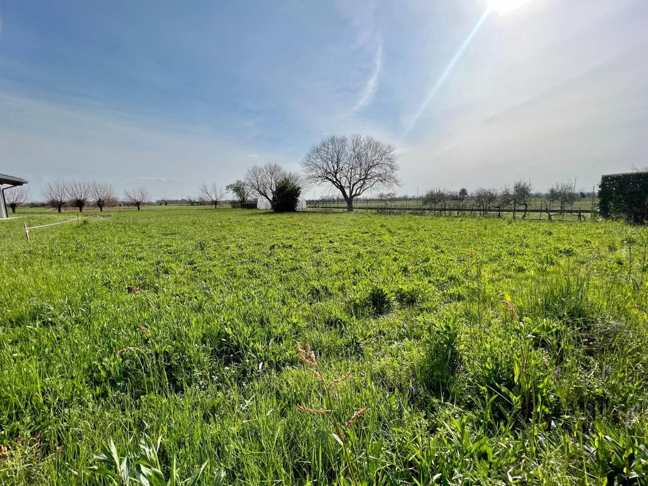 immagine annuncio 1 di 3