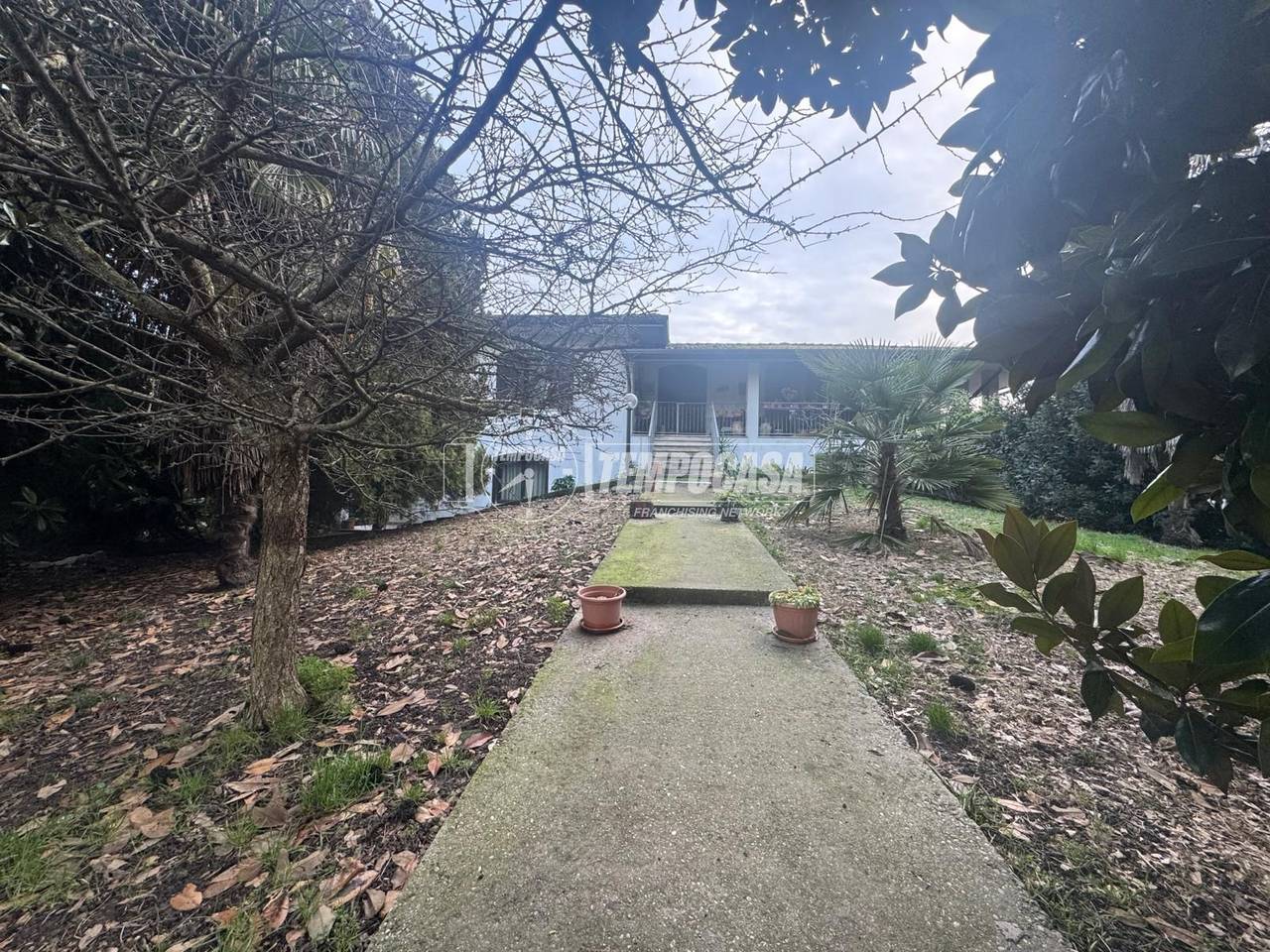 immagine annuncio 5 di 14