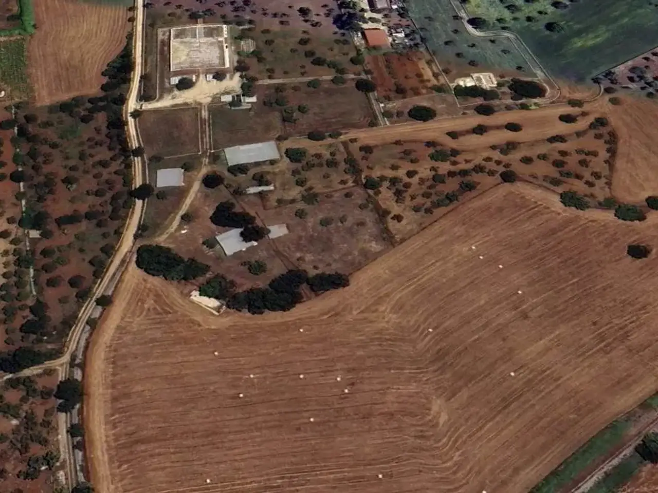 Azienda agricola in  Gioia del Colle, Gioia Del Colle, {3} - Foto 2