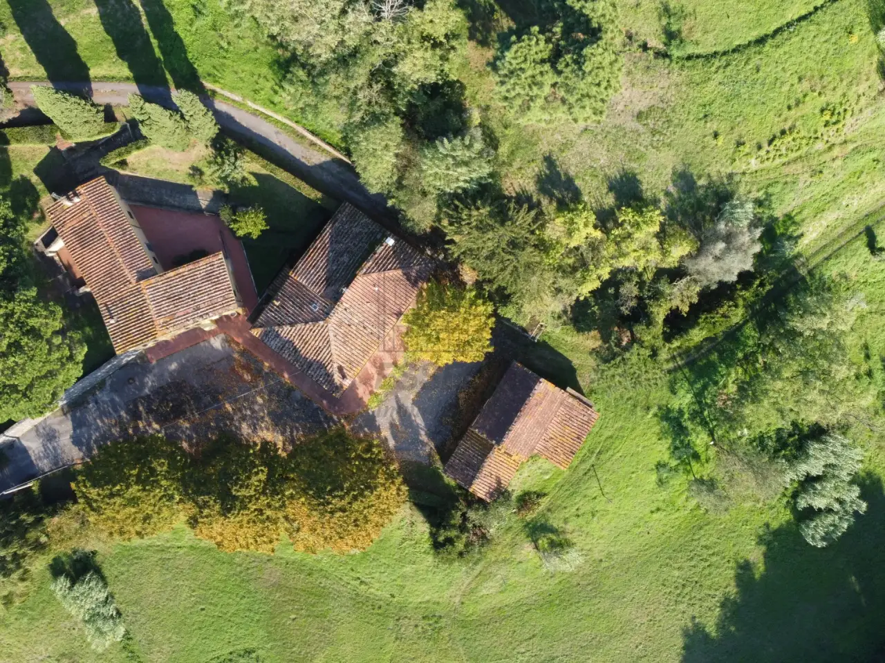 Azienda agricola in Via Tofori, Capannori, {3} - Foto 2