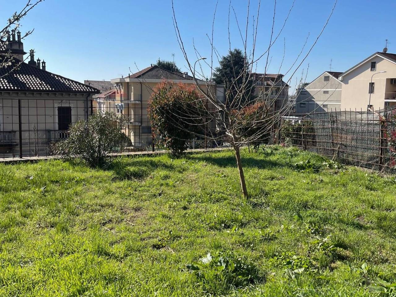 immagine annuncio 12 di 15