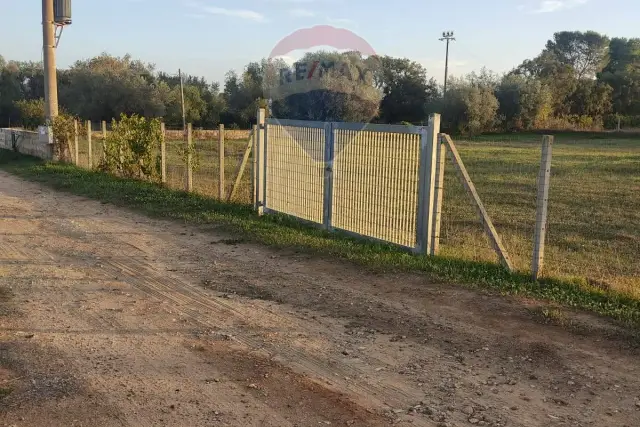 Terreno agricolo in Borgo Santo Pietro, Caltagirone - Foto 1