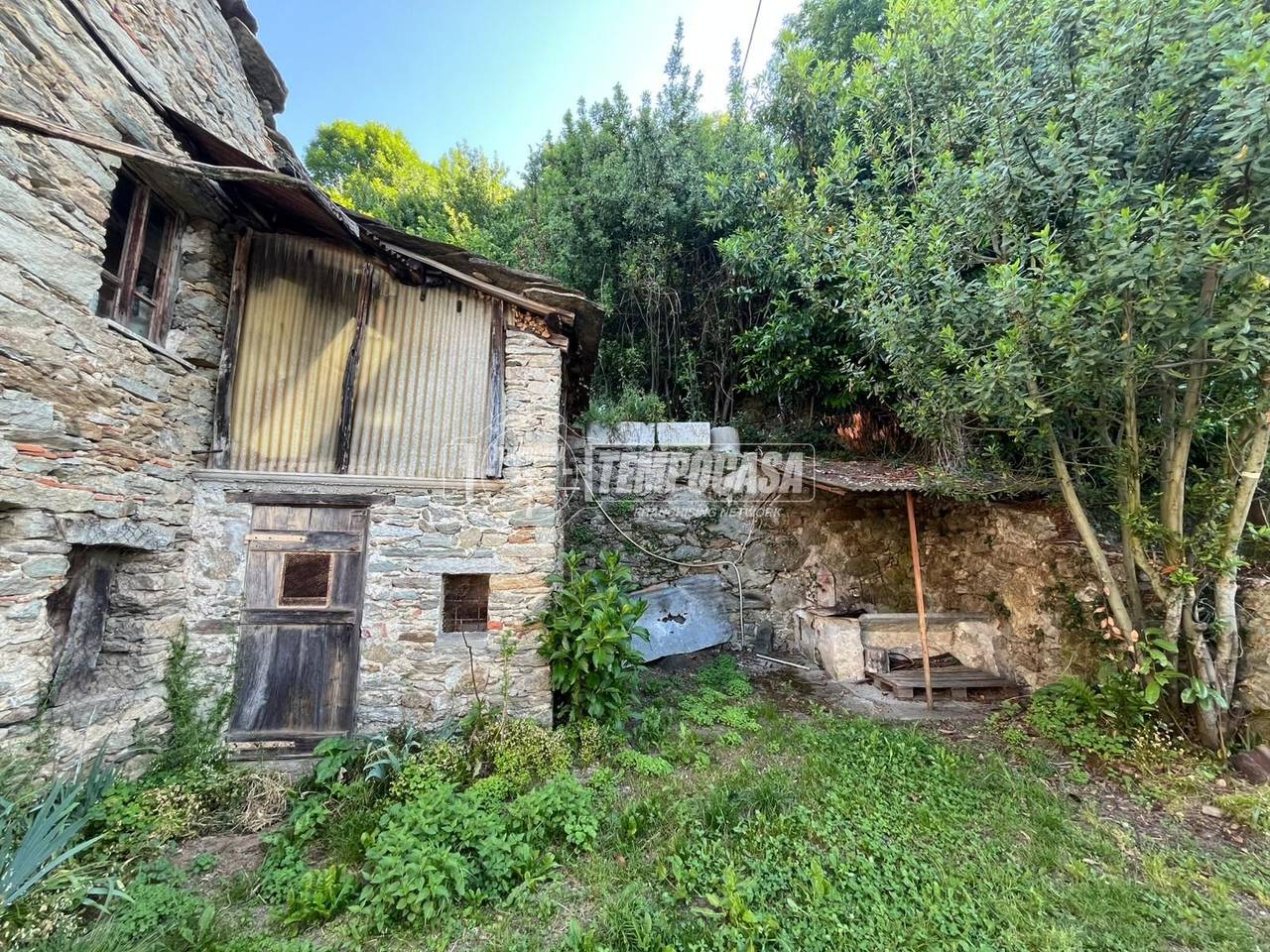 immagine annuncio 11 di 14