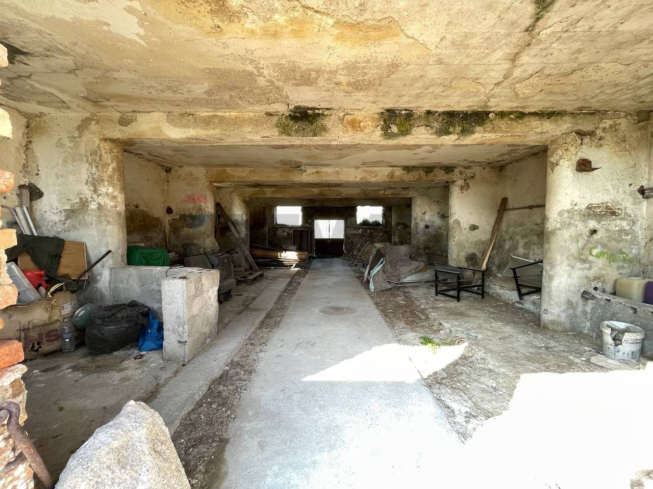 immagine annuncio 10 di 14