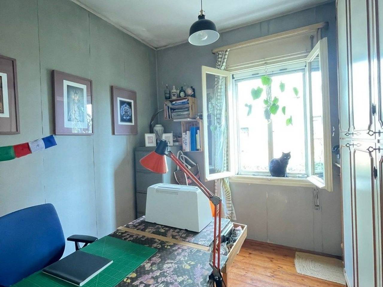 immagine annuncio 9 di 11