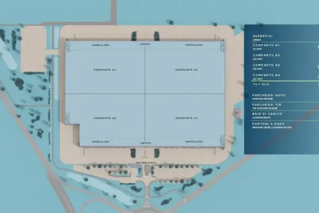 insertion image