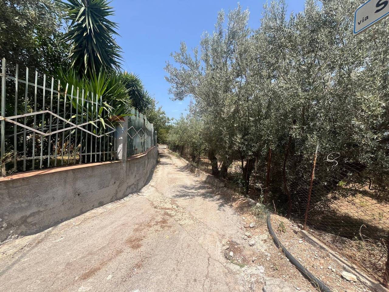 immagine annuncio 9 di 12