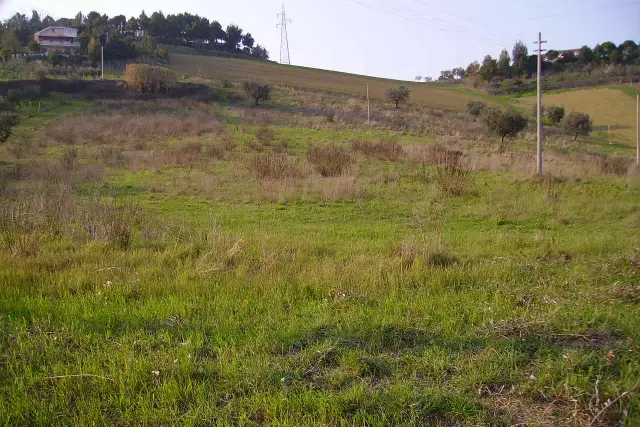 Terreno agricolo in Contrada Montecretaccio, Monteprandone - Foto 1