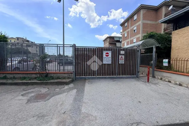 insertion image