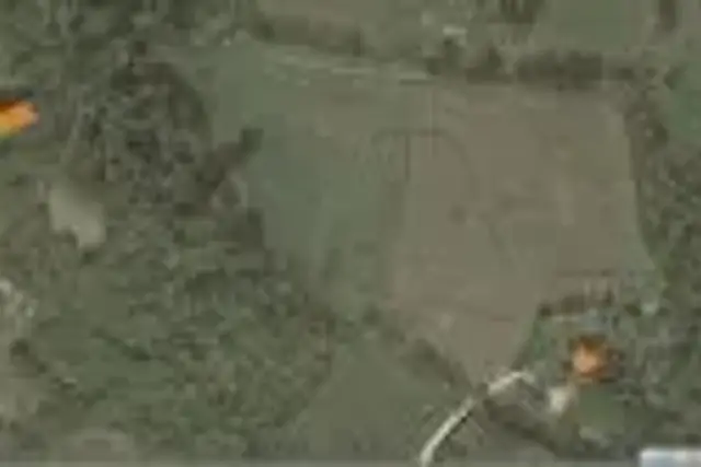 insertion image