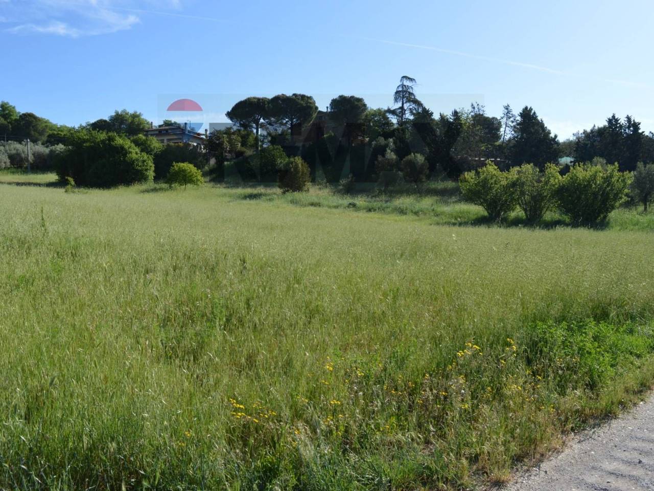 immagine annuncio 12 di 14