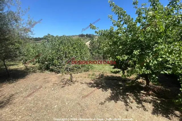 Agricultural land in Strada Provinciale della Traversa, Bagheria - Photo 1