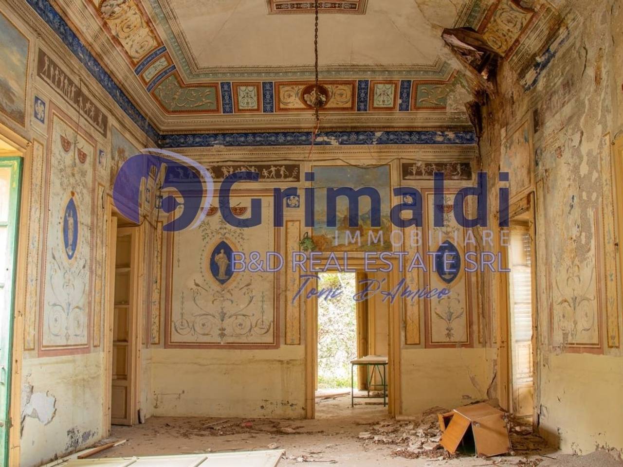 immagine annuncio 12 di 15