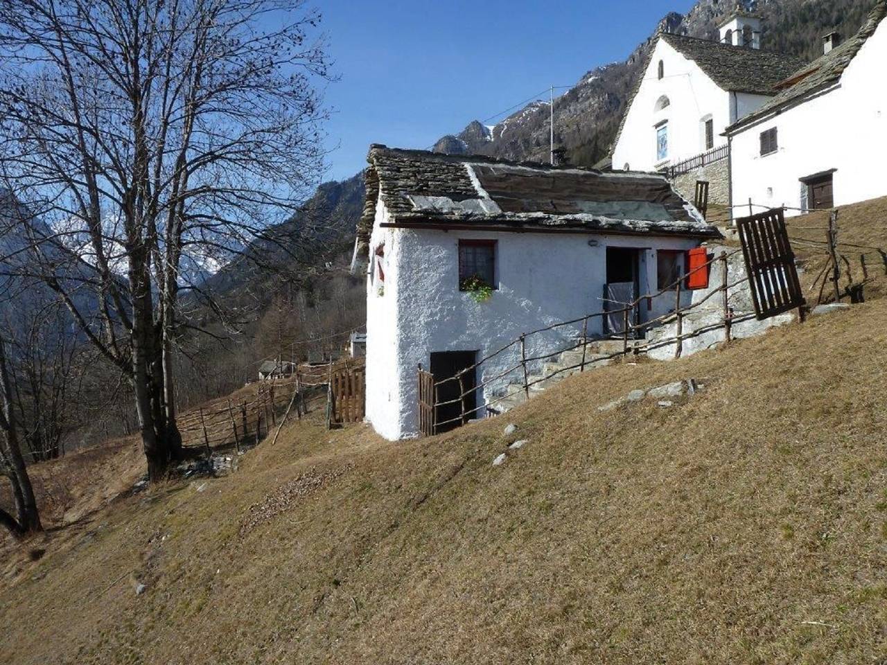 immagine annuncio 6 di 14