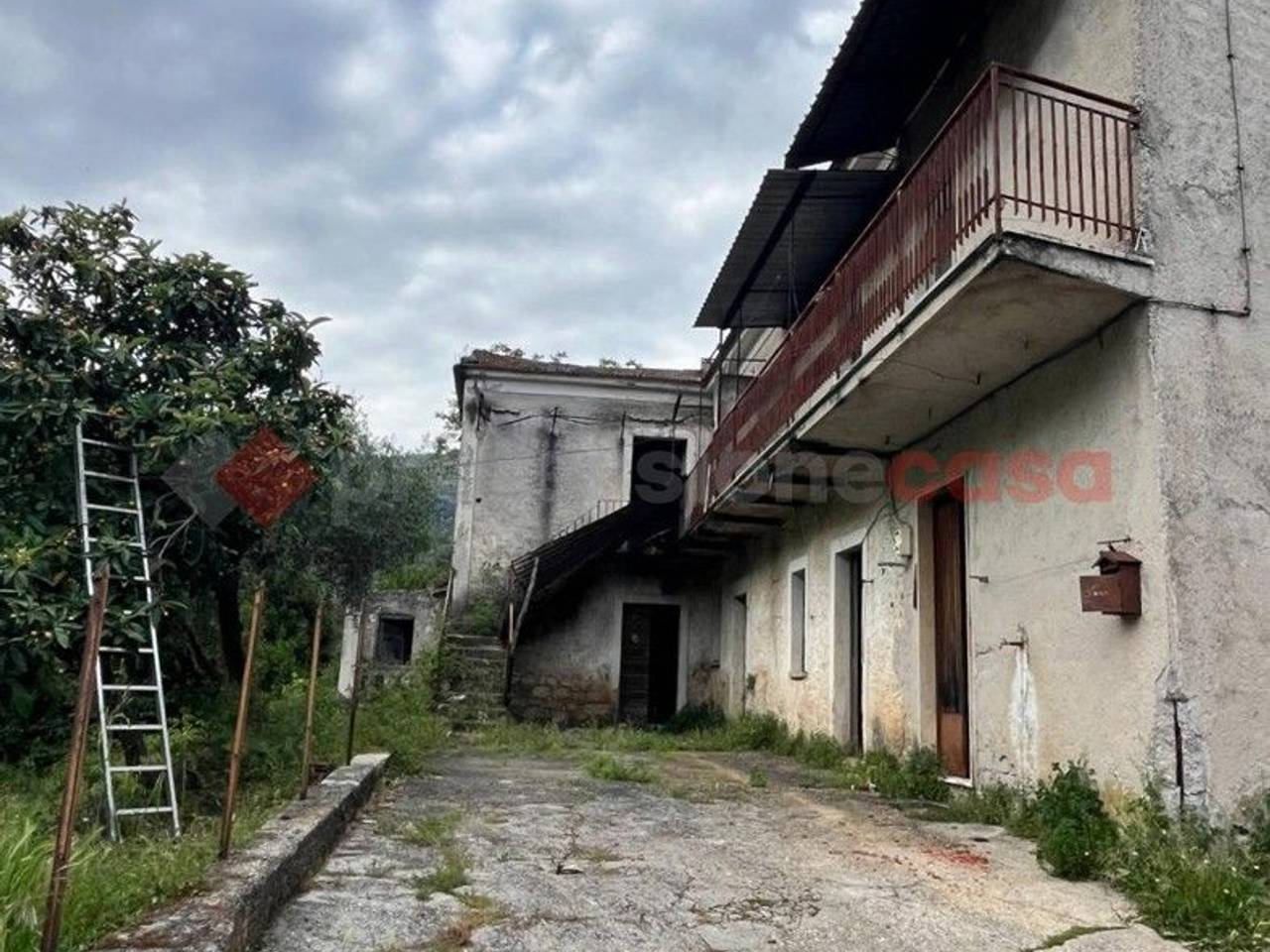 immagine annuncio 3 di 6