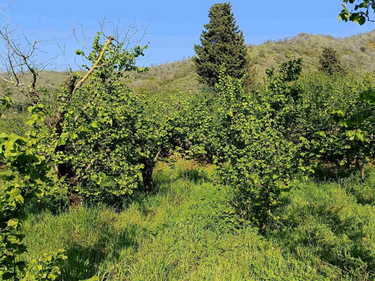 immagine annuncio 7 di 9