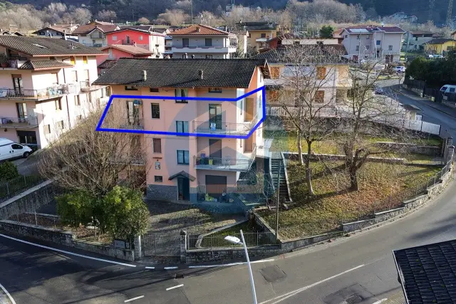 insertion image