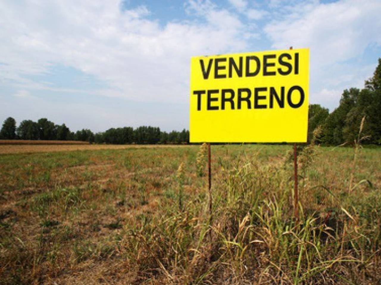 immagine annuncio 1 di 3