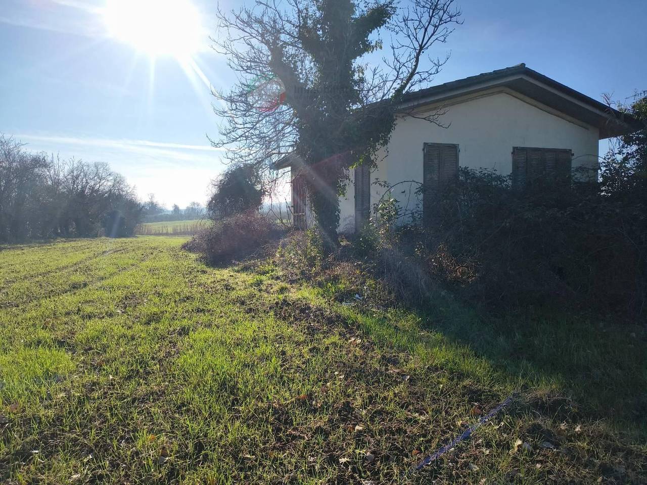 immagine annuncio 7 di 14