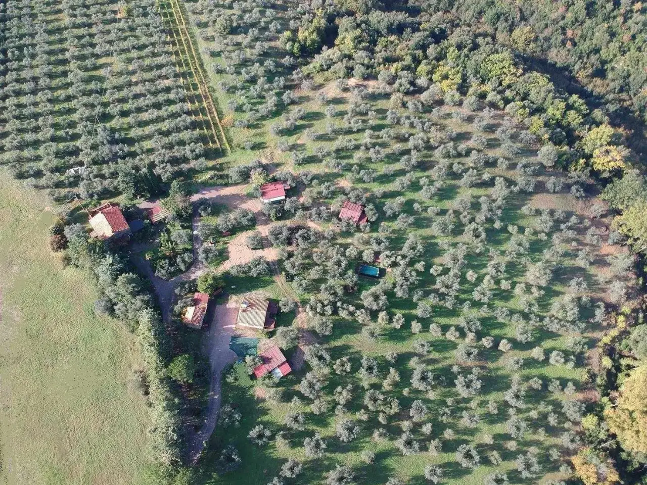 Agriturismo in , Roccastrada, {3} - Foto 1